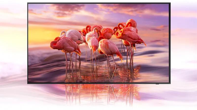 QLED Tivi Khung Tranh Samsung 4K 65 inch 65LS03A Lifestyle TV