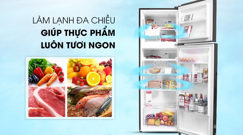 Tủ Lạnh LG Inverter 2 Cánh GN-B255S 255 Lít