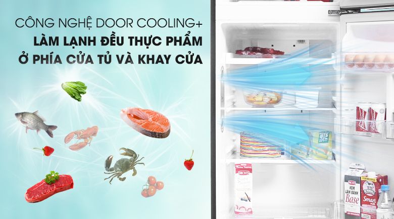 Tủ Lạnh LG Inverter 2 Cánh GN-B255S 255 Lít