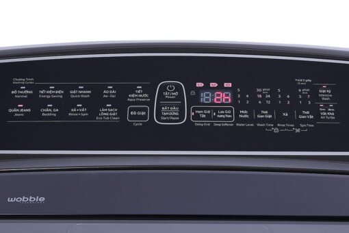 Máy giặt Samsung DD Inverter 10 Kg WA10T5260BV/SV