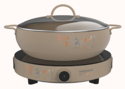 Bếp từ đơn Hawonkoo CEH-101-I-CF