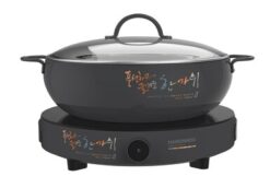 Bếp từ đơn Hawonkoo CEH-101-I-GR