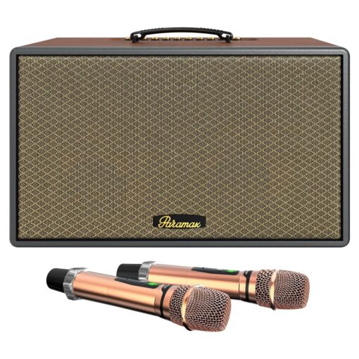 Loa xách tay Paramax Saga Brown bass 20cm 300W 16kg kèm 2 micro