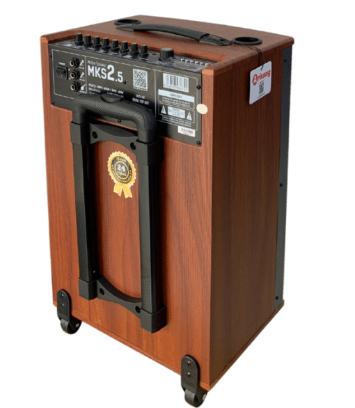 Loa Arirang MKS2.5, Bass 30cm 11kg 100W bluetooth, USB, Guitar kèm 2 micro